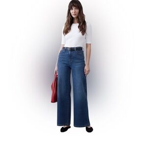 Banana Republic BR Classic Blue Wide-Leg Jeans High Rise Flair NWT